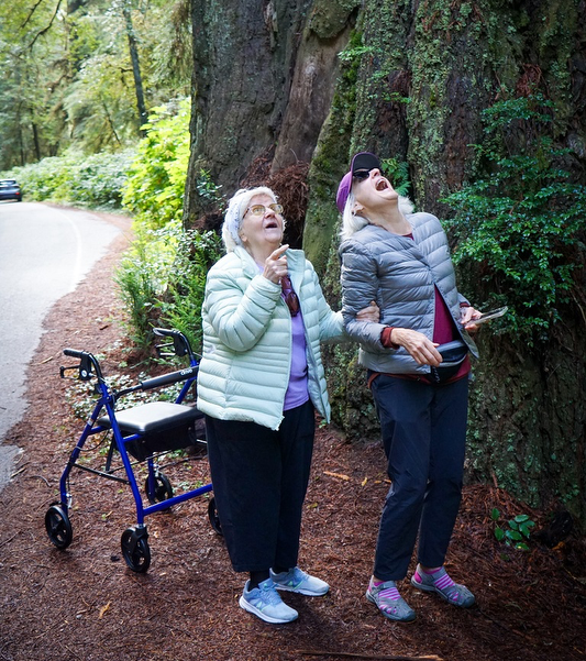 Two older women look up in awe at a giant redwood tree in a forest; one uses a walker.